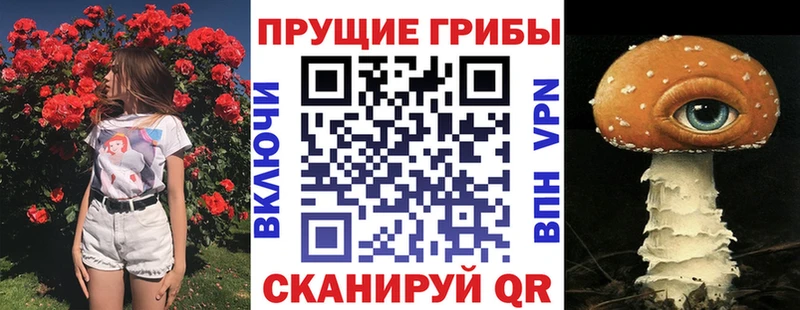 Купить закладки  Малоархангельск  Галлюциногенные грибы ЛСД 